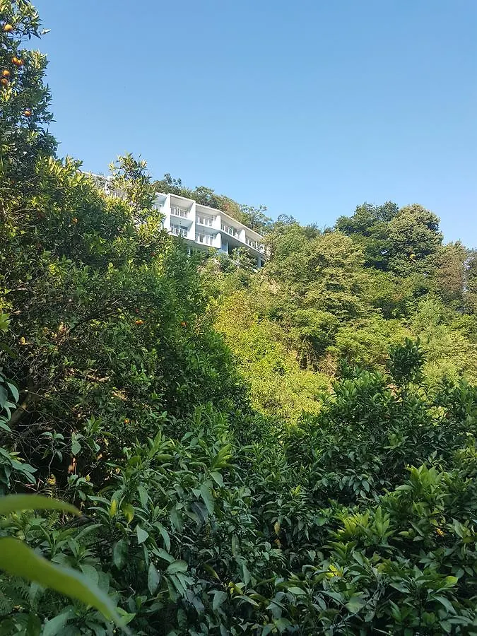 Calypso Kvariati Inn 3*,  Georgia
